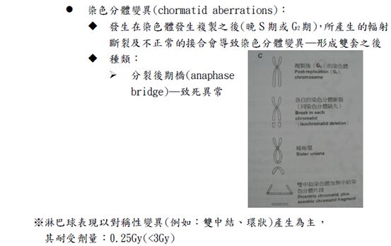 5d1d60a3e5881.jpg#s-553,349