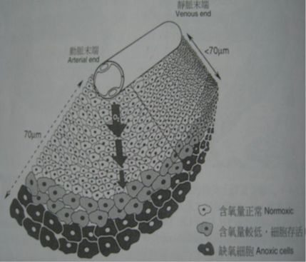 5d1d614f065ed.jpg#s-429,367