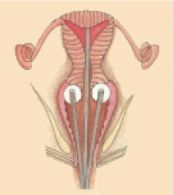 5d1d6861d2496.jpg#s-174,195