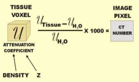 5d1d6c0b38015.jpg#s-456,269