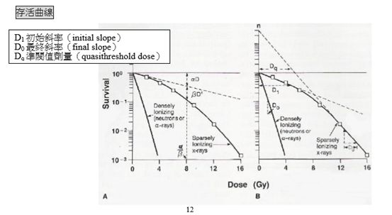 5d1d7c0ebfe76.jpg#s-553,303
