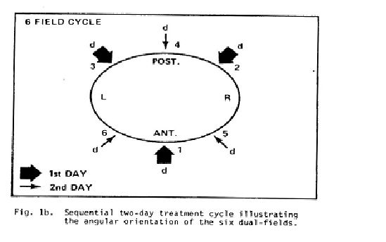 5d1da87ddf1eb.jpg#s-549,344