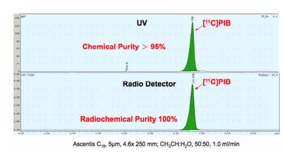 5d1db6d05943c.jpg#s-553,297