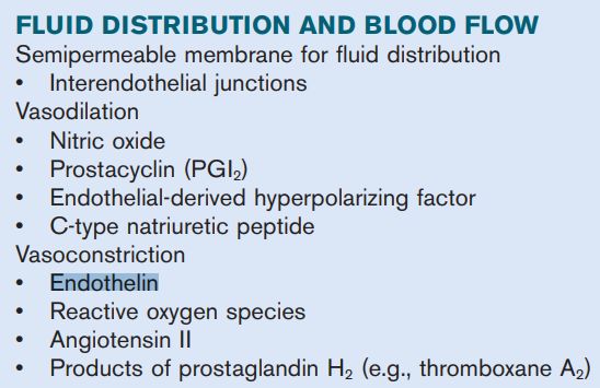 5d1de2a6bdff8.jpg#s-548,355