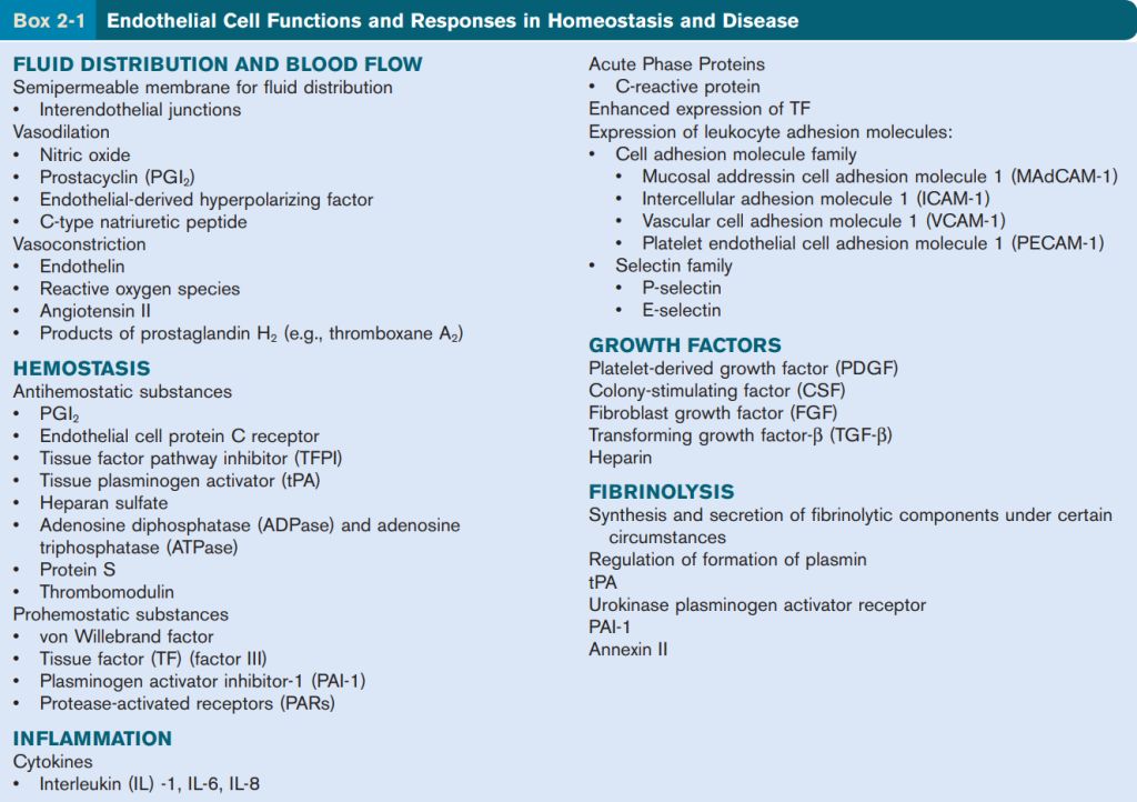 5d1de30f5fe3c.jpg#s-1024,722