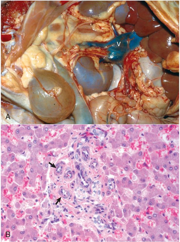 5d1df49761e25.jpg#s-616,828