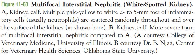 5d1df594e5811.jpg#s-649,185