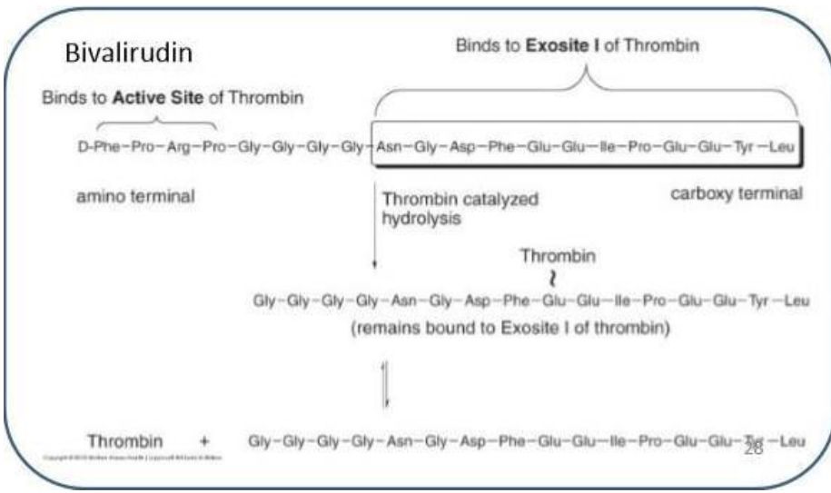 5d1e3a5a07675.jpg#s-915,543