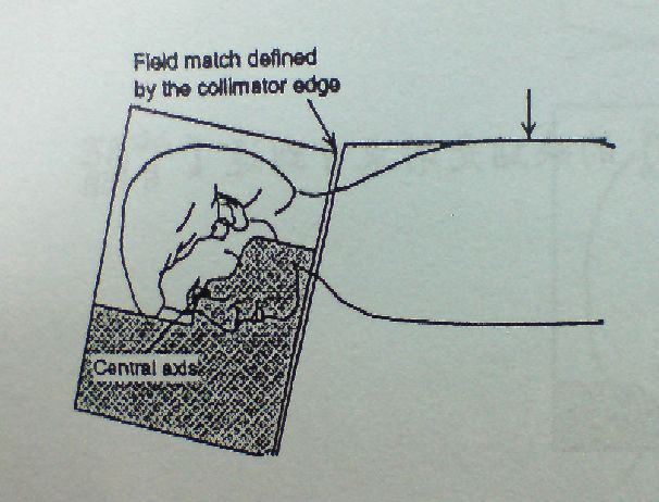 5d1ef6ef9b692.jpg#s-606,462