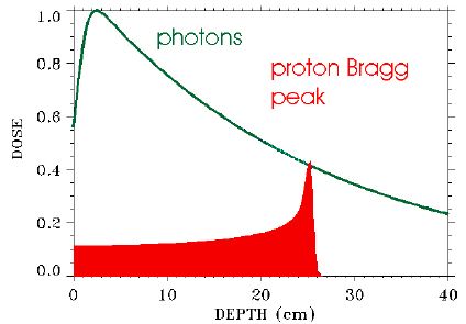 5d1efc8ac0df2.jpg#s-424,295