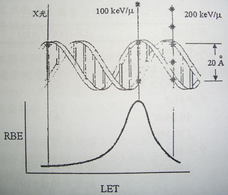 5d1efca83ac7e.jpg#s-764,654