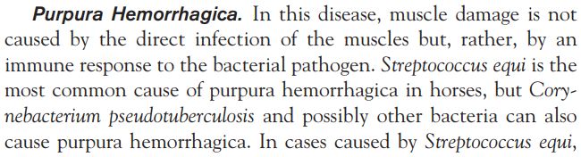 5d1fee9dcc779.jpg#s-650,176