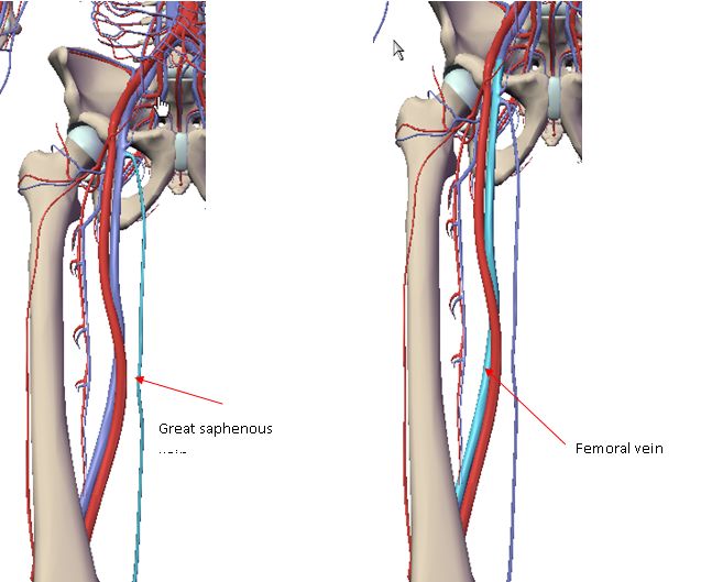 5d2054c3c32f9.jpg#s-637,529