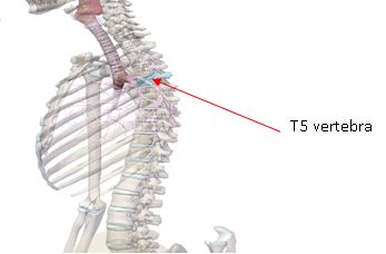 5d20551824c27.jpg#s-347,228