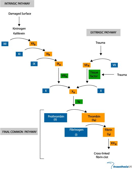 5d2055e21be52.jpg#s-521,666