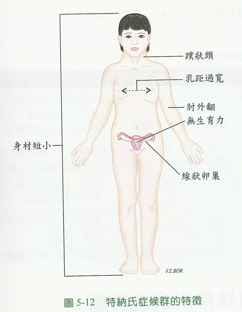 5d2057434c07a.jpg#s-796,1024