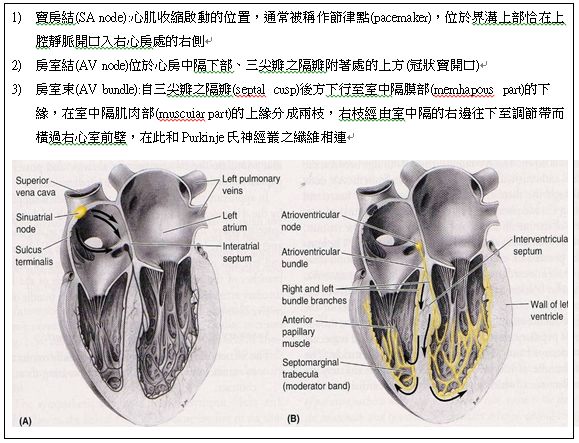 5d20581c3447e.jpg#s-579,443