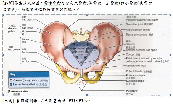 5d20594fce3b9.jpg#s-569,346