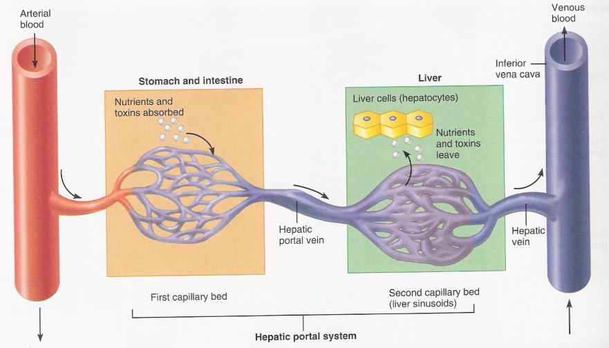 5d205979e120d.jpg#s-881,504