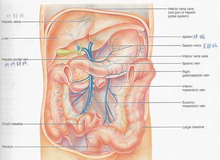 5d205997638a1.jpg#s-746,541