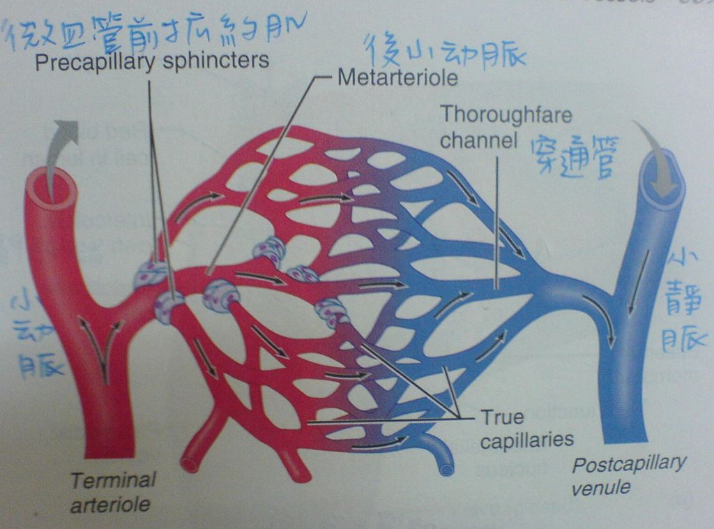 5d20668d8f5d6.jpg#s-1024,758