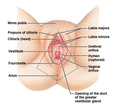 5d2066da1a356.jpg#s-410,372