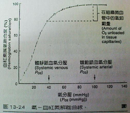 5d206782aaedf.jpg#s-505,441