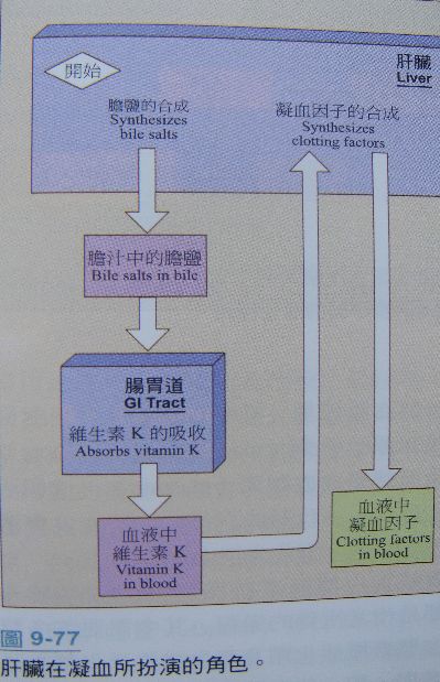 5d2067c423ca6.jpg#s-399,619