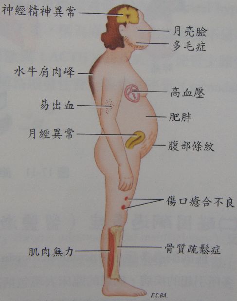 5d2068a9b2a5b.jpg#s-487,618