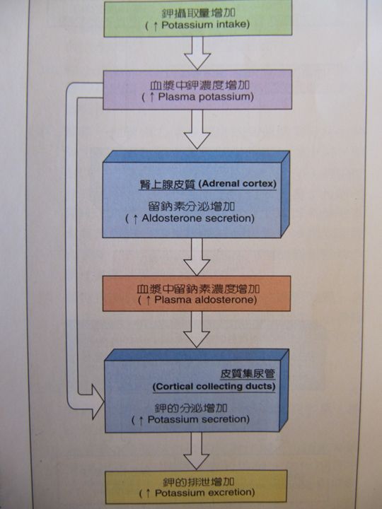 5d20ba525bccb.jpg#s-540,720