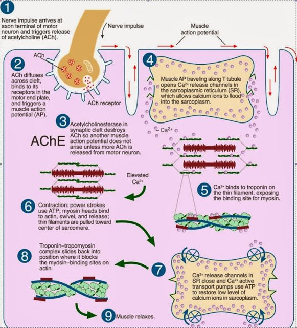 5d20bed063a65.jpg#s-581,640