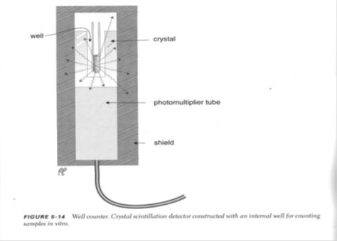 5d20d4e67e3c3.jpg#s-474,340