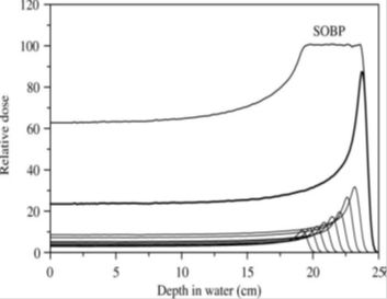 5d20e10a1eb9c.jpg#s-353,273