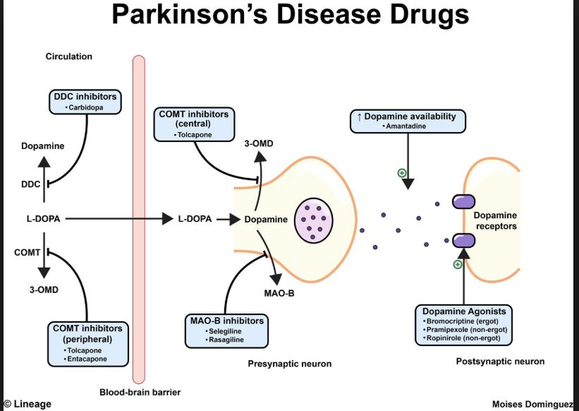 5d2159e1a62c2.jpg#s-821,582