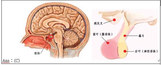 5d22c69903bf9.jpg#s-560,229