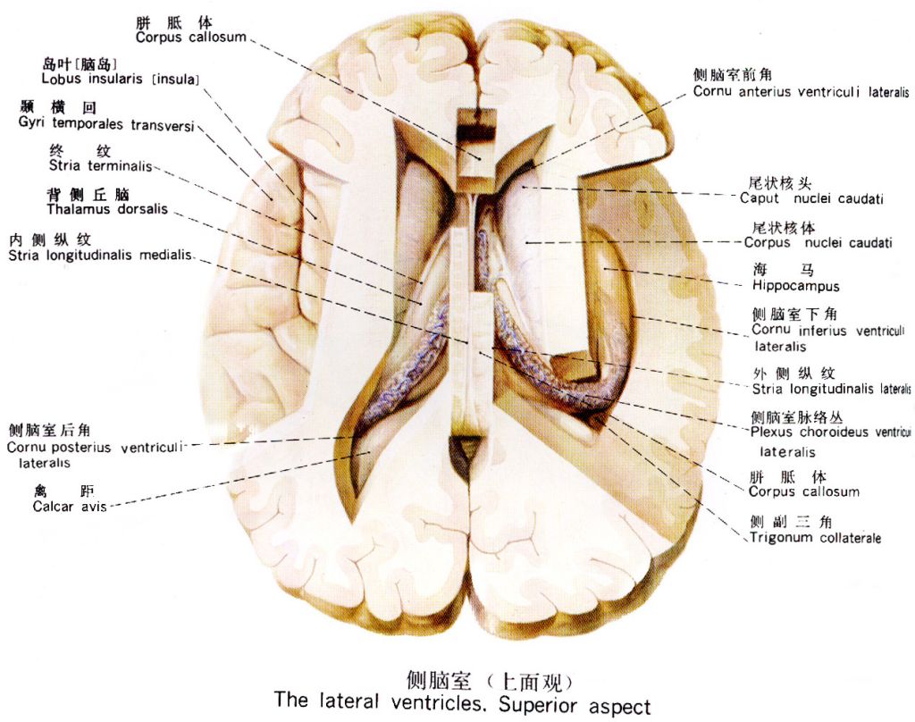 5d22de61f17f9.jpg#s-1024,808
