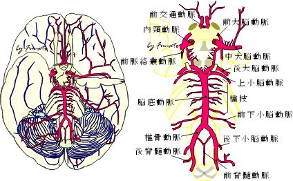 5d22dec7d21f4.jpg#s-424,262
