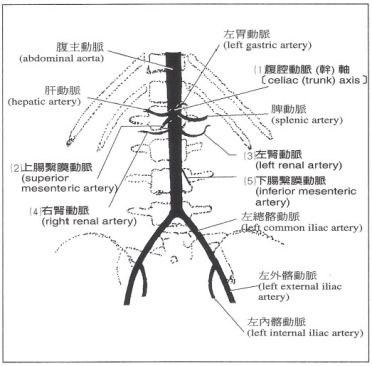 5d22e05176b39.jpg#s-372,366