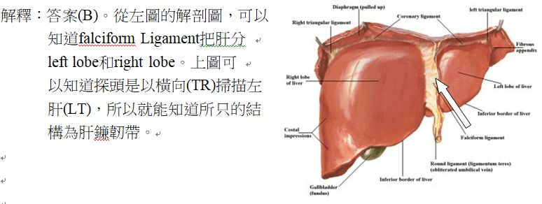 5d22e8228dfca.jpg#s-774,292