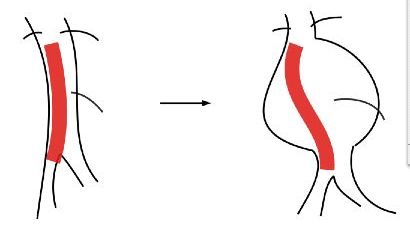 5d22eb85b4f10.jpg#s-410,230