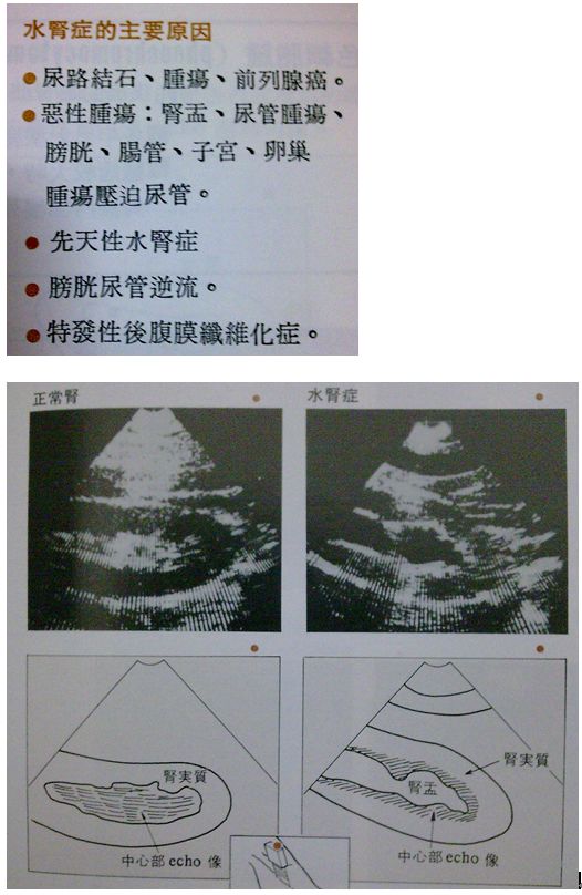 5d22f6f5a9c27.jpg#s-526,808