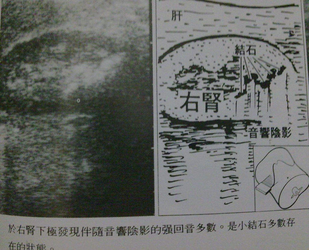 5d22f781806d8.jpg#s-1024,829