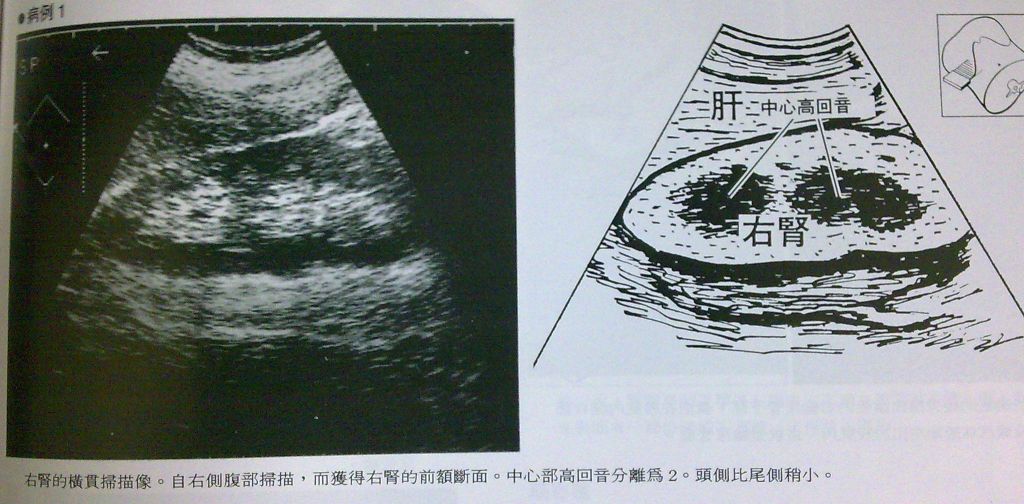 5d22f7be8ad6e.jpg#s-1024,504