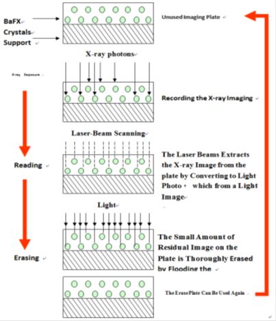 5d231b2f5a3c4.jpg#s-403,469