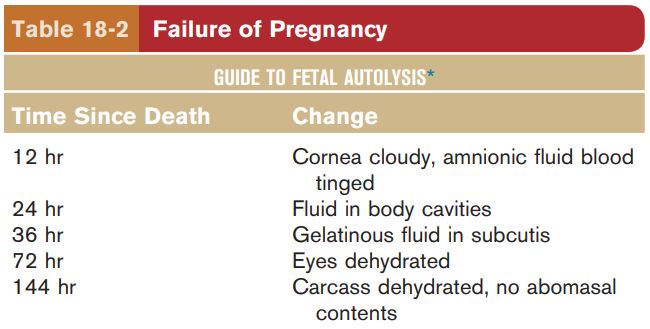 5d232c78e108c.jpg#s-650,329