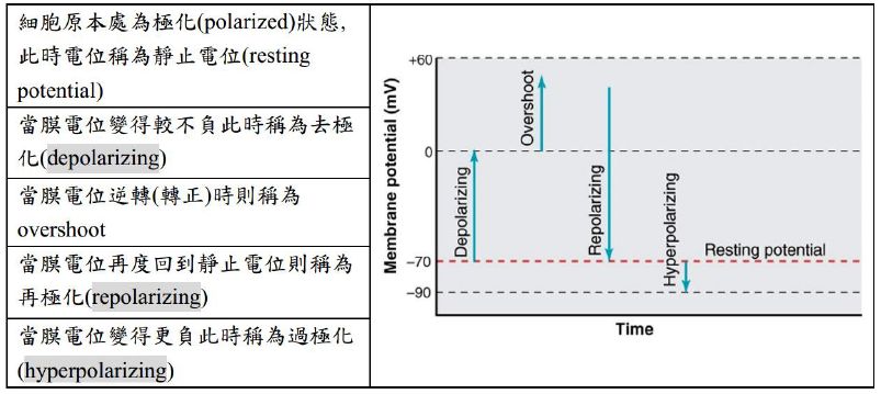 5d24a0a8db0c9.jpg#s-803,359