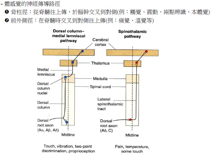 5d24a0f0d8b27.jpg#s-693,507