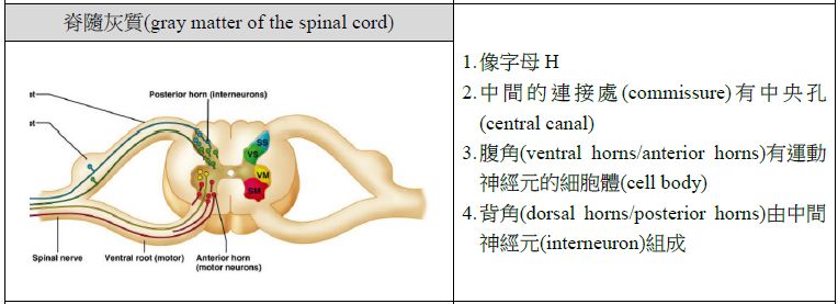 5d24a1287c239.jpg#s-764,277