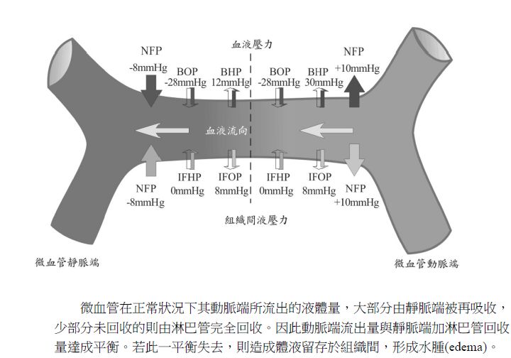 5d24a30e353d6.jpg#s-720,504