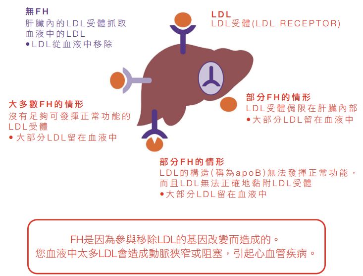 5d24a54300452.jpg#s-733,556